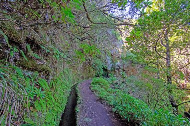 Funchal şehri üzerindeki panoramik manzara ve Madeira adasındaki kıyı şeridi bulutlu gökyüzünün altında dağlar ve okyanuslar..