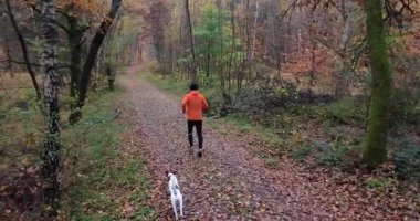 Bir dron canlı bir sonbahar ormanında koşan sportif giyimli bir adamı parlak yeşillik ve ılık mevsimlik renklerle yakalar ve dinamik açık hava aktivitelerini gösterir.