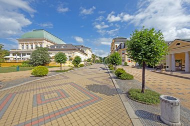 Karlovy Vary Çek Cumhuriyeti 'nde tarihi binalar ve mavi gökyüzü olan zarif bir ağaç manzarası.