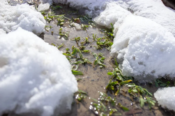 Nieve Derrite Primavera — Foto de Stock