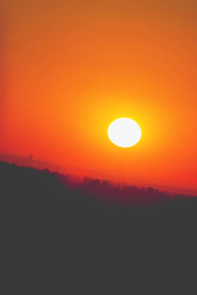 Wheat Sunset Scenic View — Stock Photo, Image