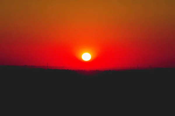 Pšenice Při Západu Slunce Malebný Pohled — Stock fotografie