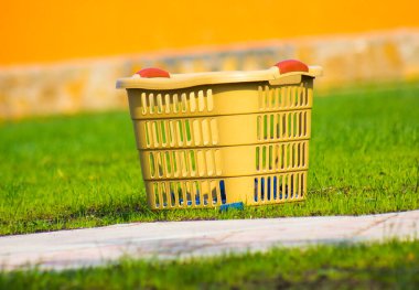 sarı sepet doğa arkaplanı