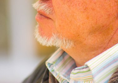 Gri sakallı ve çeneli