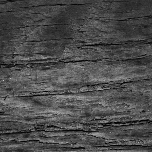 Grey Wood Texture Background Old Panels — Stock Photo, Image