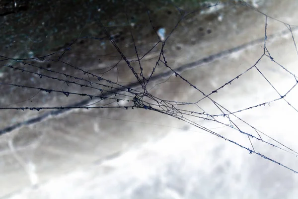 Abstrakter Hintergrund Alte Spinnennetze — Stockfoto
