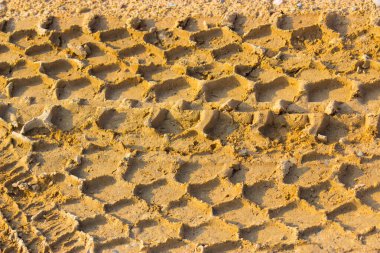 Arka planda sarı çamur, kapat