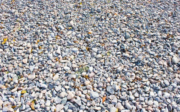 Один Маленький Камень Заднем Плане Крупным Планом — стоковое фото