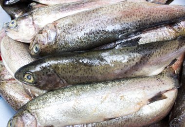 Taştan bir tahtada otlarla gökkuşağı alabalıkları