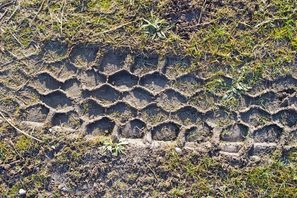 Traces Sur Sol Voiture Sur Boue — Photo