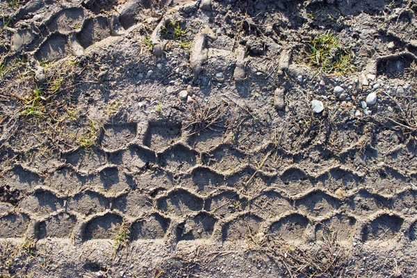 Traces Sur Sol Voiture Sur Boue — Photo