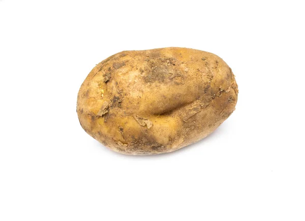 Один Молодой Картофель Изолированы Белом Фоне — стоковое фото