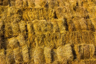 Arka planda kare Hay Bales, kapat