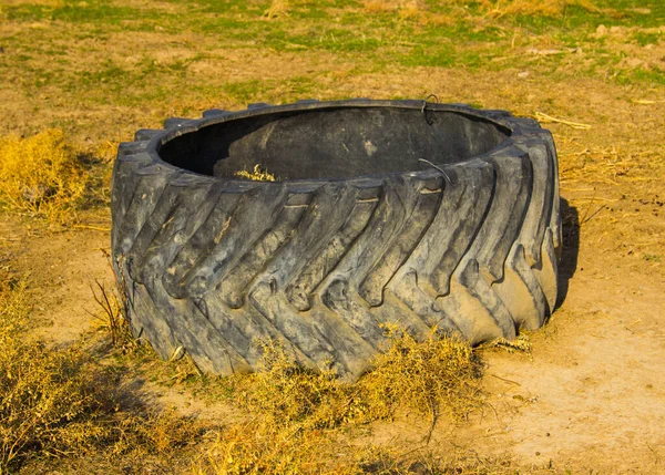 old tire of big tractor,big tractor tire,wheel tractor
