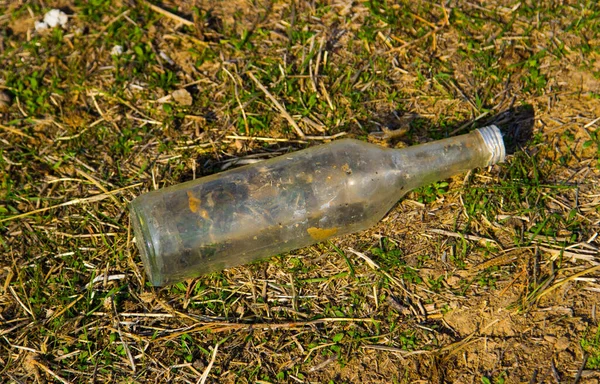 Vieja Botella Vidrio Abandonada Dejó Tiendas Abiertas Agua Estancada Potencial —  Fotos de Stock