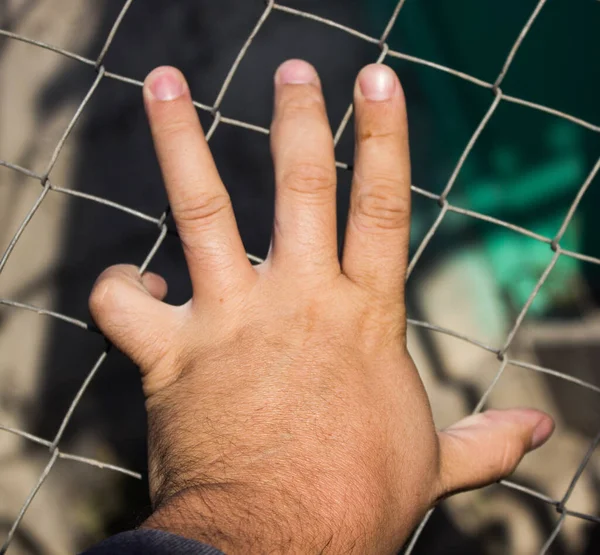 Demir bir ızgarada el.