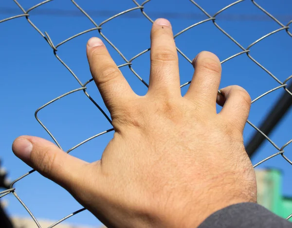 Hand Auf Einem Eisernen Gitter — Stockfoto