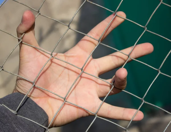 Hand Auf Einem Eisernen Gitter — Stockfoto