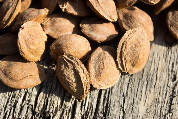 Kurutucudaki kayısı kemikleri.