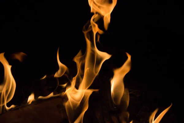 bright fire on a black background at night