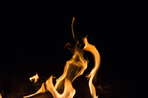 bright fire on a black background at night