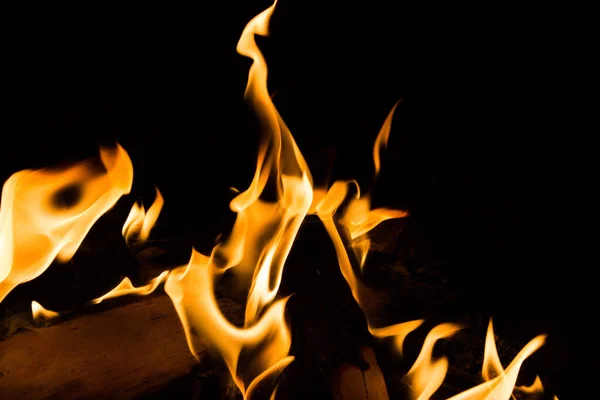 bright fire on a black background at night