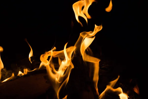 bright fire on a black background at night