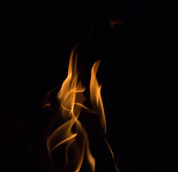 Fuego Brillante Sobre Fondo Negro Por Noche — Foto de Stock