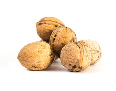 beyaz arkaplanda ceviz