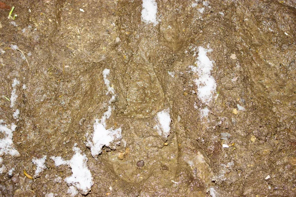 Struktura Błotna Lub Mokra Brązowa Gleba Jako Naturalna Organiczna Glina — Zdjęcie stockowe