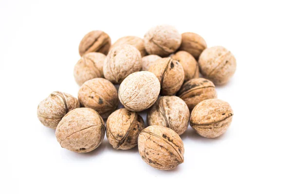 Walnut White Background — Stock Photo, Image