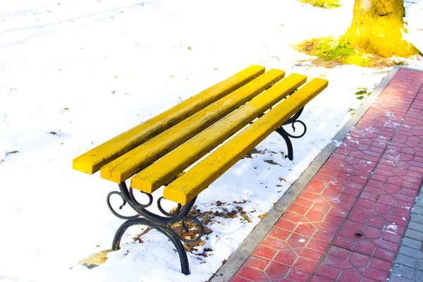 Banc Dans Parc — Photo