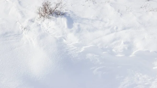 Снежная Дорога Лыжников — стоковое фото