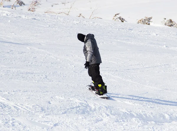 Езда Сноуборде Горами Снегу Молодой Человек Куртке Движется Большой Скоростью — стоковое фото
