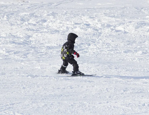 Turen Från Berget Skidor Sportevenemang Skidåkning — Stockfoto