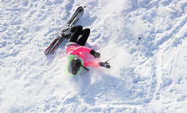 Doğada karahindiba, yakın plan.