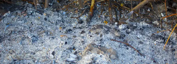 Carbón Después Del Fuego Sobre Fondo Natural —  Fotos de Stock