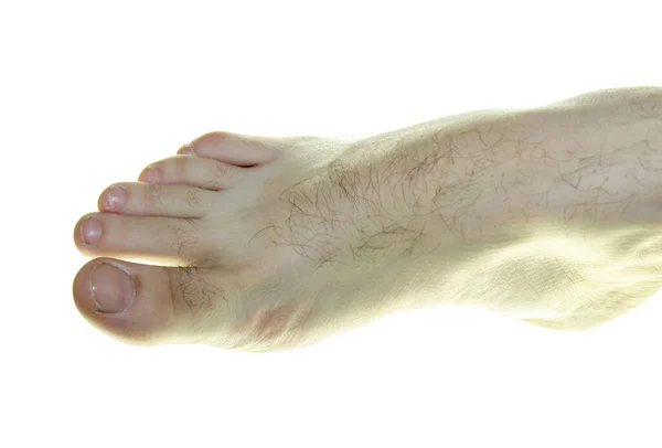 Samčí Noha Bílém Pozadí Zblizka — Stock fotografie