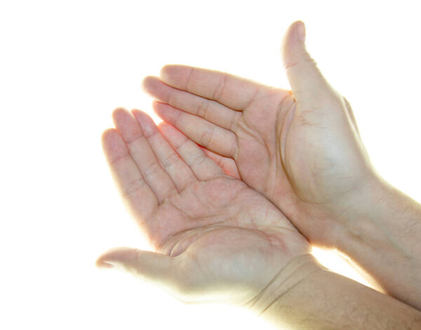 beautiful  men's hands on white background