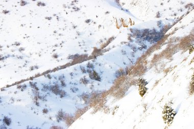 Vadi uçaktan bulanık görünüyor.