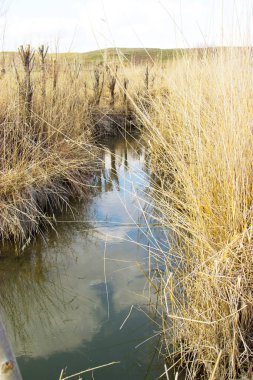 Gündüz vakti pipetli küçük bir nehir