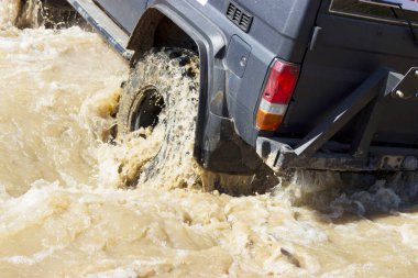 Doğada suda siyah bir cip.