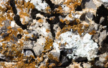 Taş dokusu arkaplanı, kapat