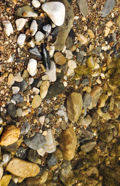 Sea Pebble Sea Stones Background — Stock Photo, Image