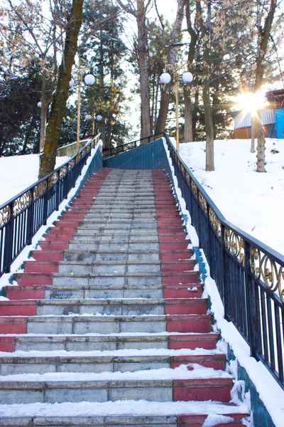 Escadas Escalada Livre Inverno — Fotografia de Stock