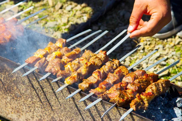 Shish Kebabs Grill — Stock Photo, Image