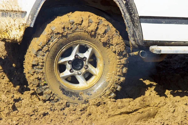 泥の中のジープの車輪 — ストック写真