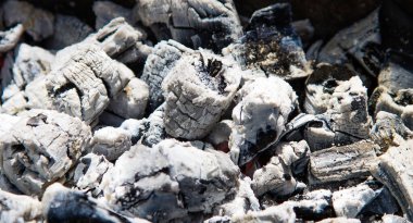 Yakın kömür kömürü