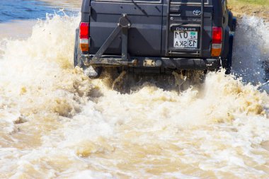 Doğada suda siyah bir cip.