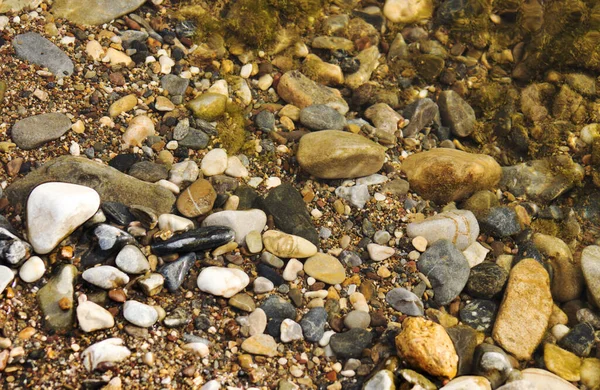 海卵石 海卵石背景 — 图库照片